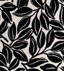 Kona Fabric by Thibaut Ebony
