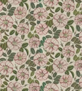 La Rose Fabric by Designers Guild Rose