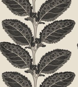 Lacinato Wallpaper by Thibaut Basalt Black