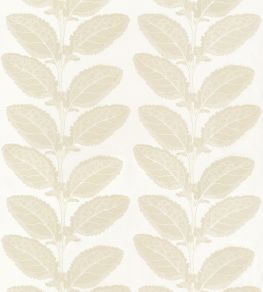 Lacinato Fabric by Thibaut Birch