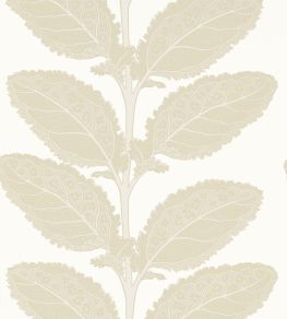 Lacinato Wallpaper by Thibaut Birch