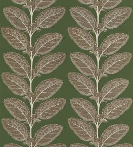 Lacinato Fabric by Thibaut Wild Sage