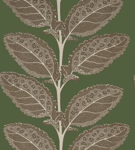 Lacinato Wallpaper by Thibaut Wild Sage