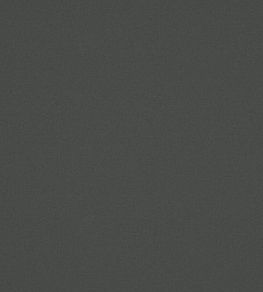 Laundered-Linen Fabric by Warwick Charcoal