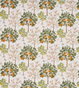 Lemon Grove Fabric by Prestigious Textiles Pear