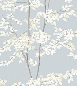 Beech Wallpaper by Lewis & Wood Cirrus