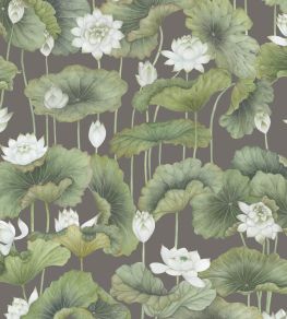 Lily Lotus Wallpaper by Cole & Son White on Charcoal