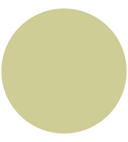 Lime Cloud Active Emulsion Paint by Sanderson Lime Cloud