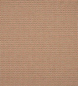 Lucena Fabric by Colefax and Fowler Tomato