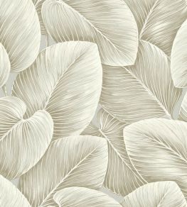 Lush Leaf Wallpaper by Today Interiors Taupe