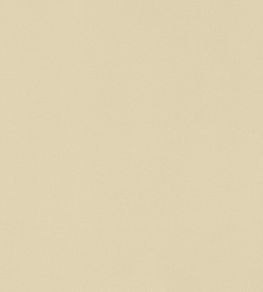Lyra Velvet Fabric by Thibaut Suede