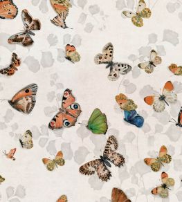 Magic Butterflies Wallpaper by Coordonne Linen