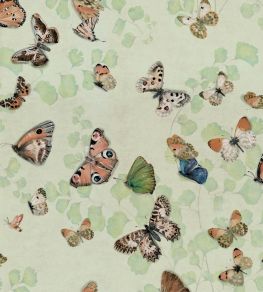 Magic Butterflies Wallpaper by Coordonne Maca