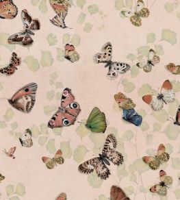 Magic Butterflies Wallpaper by Coordonne Sweet