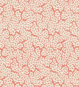 Maldives Wallpaper by Thibaut Coral