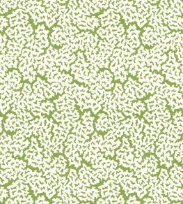 Maldives Wallpaper by Thibaut Green