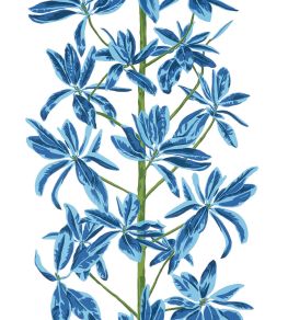 Mangrove Tree Wallpaper by Thibaut Blue and White
