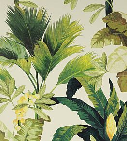 Salengro Wallpaper by Manuel Canovas Kaki