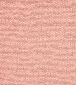 Selma Fabric by Manuel Canovas Saumon