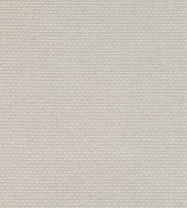 Shifu Wallpaper by Mark Alexander Pearl