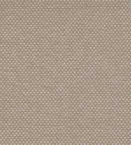 Shifu Wallpaper by Mark Alexander Parchment
