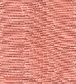 Misa Moire Plain Fabric by Marvic Rose