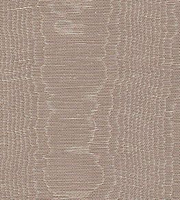 Misa Moire Plain Fabric by Marvic Chamois