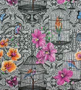Orangery Wallpaper by Matthew Williamson Charcoal/Pink/Orange