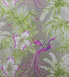 Bird Of Paradise Wallpaper by Matthew Williamson 3