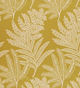 Maxibel Fabric by Ashley Wilde Mimosa