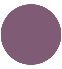 Meadow Violet Active Emulsion Paint by Sanderson Meadow Violet
