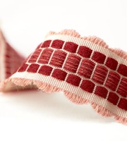 Melmerby Fan Braid Trimming by Sanderson Rose