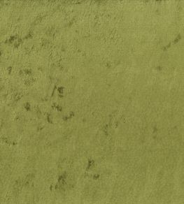 Meru Fabric by Osborne & Little Lime