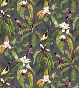 Michelia Wallpaper by Osborne & Little 1