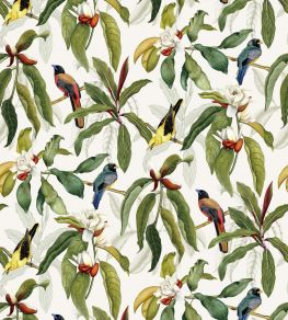 Michelia Wallpaper by Osborne & Little 3