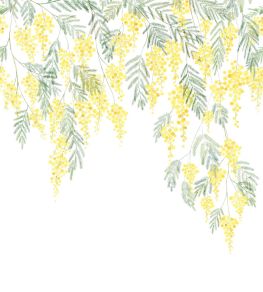 Mimosa Mural by Casadeco Bouton d'or
