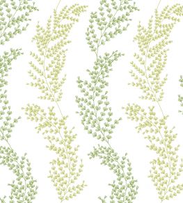 Mimosa Trail Wallpaper by Ohpopsi Olive