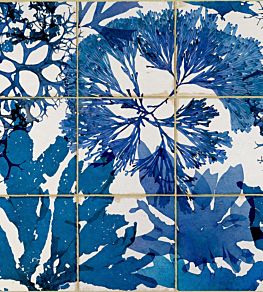 Algae Wallpaper by MINDTHEGAP Blue