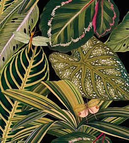 Amazonia Wallpaper by MINDTHEGAP Black,Green