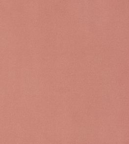 Mirasol Velvet Fabric by Thibaut Spice
