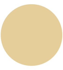 Moorish Yellow 1829 Chalky Emulsion Paint by Craig & Rose Moorish Yellow