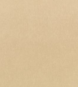 Motion Fabric by Kirkby Design Desert