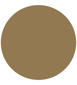 Muddy Amber Elite Emulsion Paint by Zoffany Muddy Amber