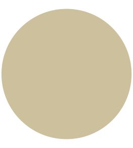 Mudstone Active Emulsion Paint by Sanderson Mudstone