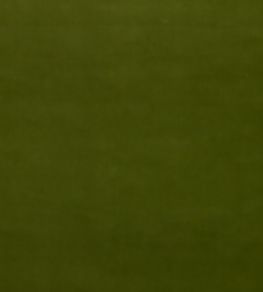 Mulberry Velvet Fabric by Mulberry Home Fern