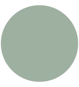 Mumingtons Stem Chalky Matt Paint by Morris & Co Mumingtons Stem