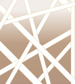 Nastri Shade Mural by Missoni Wallcoverings Brown