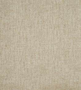 Nimbus Fabric by Prestigious Textiles Biscotti