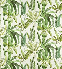 Benmore Fabric by Nina Campbell 2