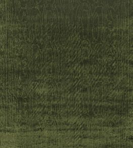 Cantabria Fabric by Nina Campbell Grass Green
